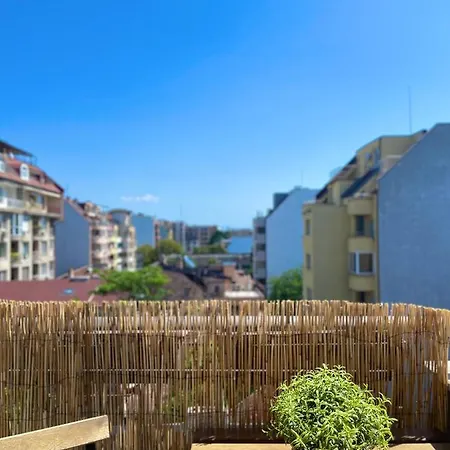 Very Cozy And Sunny In The Center Of *